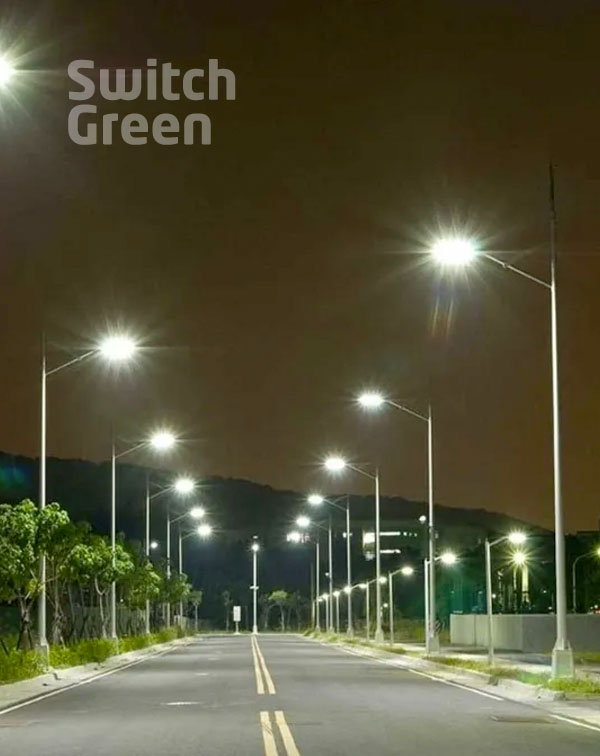 Switch Green