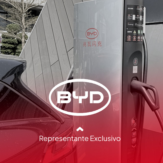 Switch Green cargadores