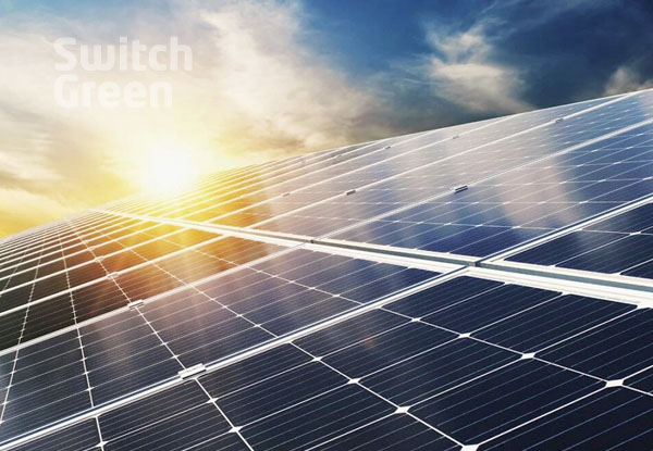 Switch Green
