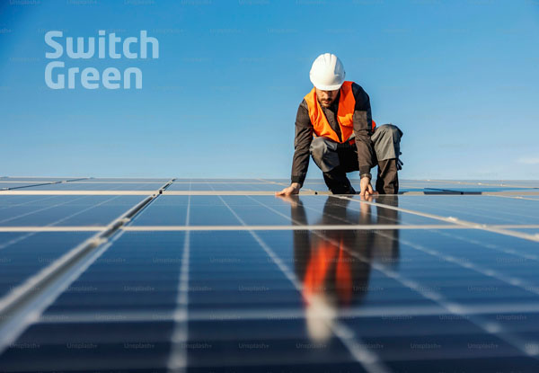 Switch Green