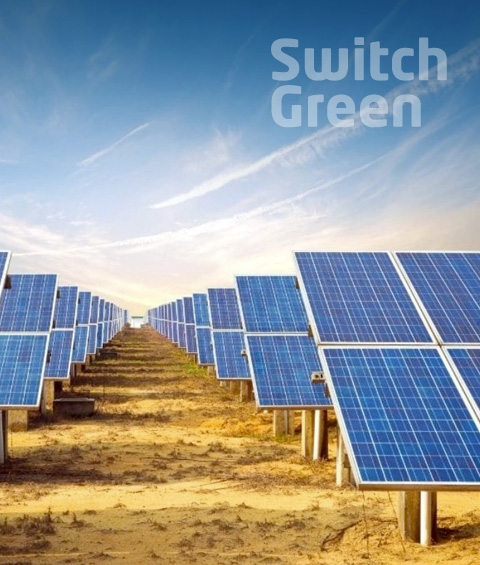 Switch Green EPC Solar