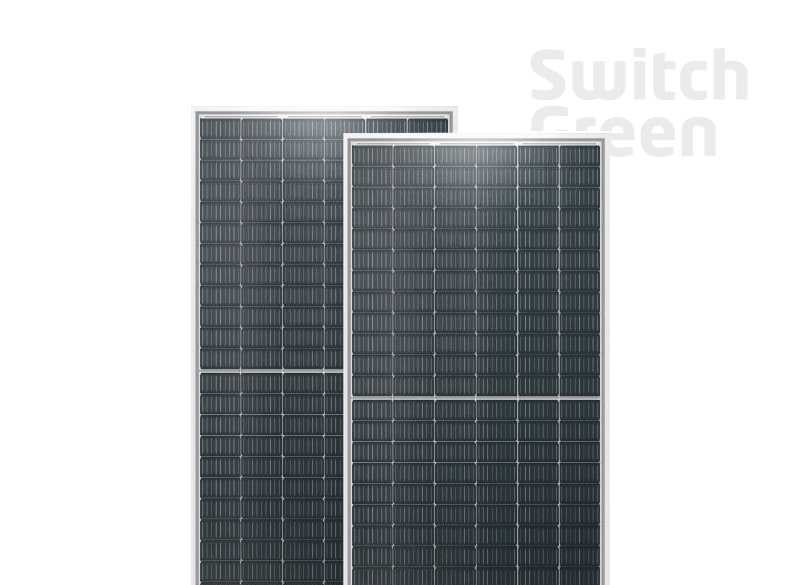 Switch Green