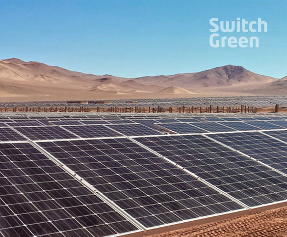 Switch Green
