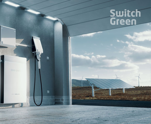 Switch Green