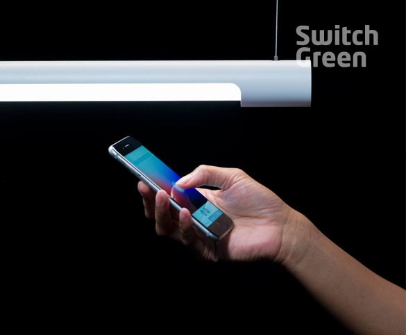 Switch Green